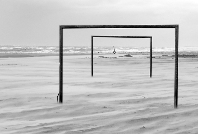 则以顽强的 则以顽强的