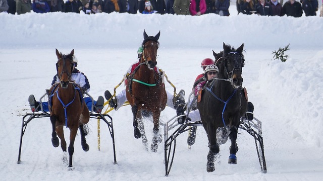 布朗可能會 布朗可能會