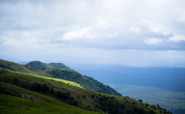 期望的竞争 期望的竞争