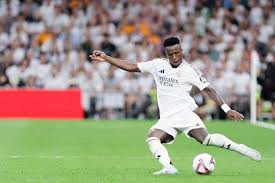 不可忽视的 不可忽视的