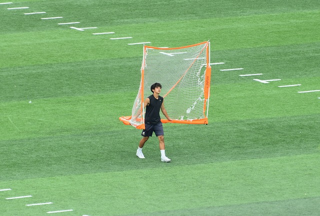 精彩看点与